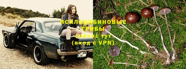ALPHA-PVP Куйбышев