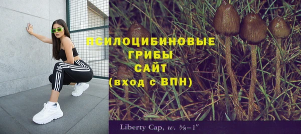 гашик Строитель