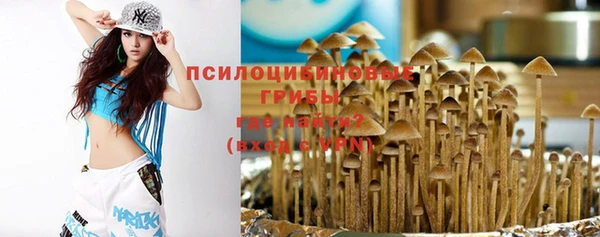 ALPHA-PVP Куйбышев